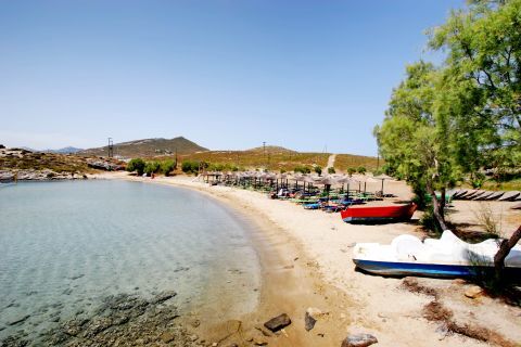 monastir1