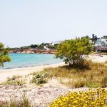 new golden beach gallery 7 480 150x150
