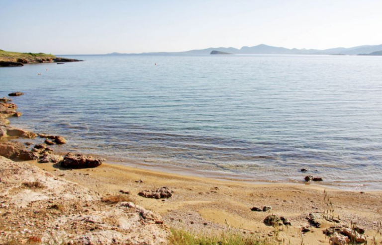 klad 768x494