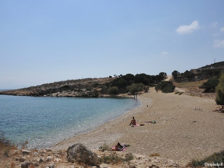tryp 768x576